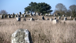(2015-04) -22- Carnac